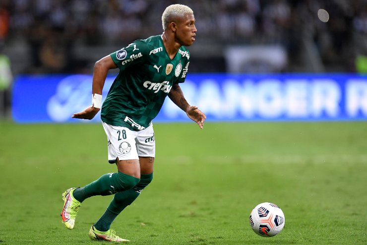 Danilo palmeiras