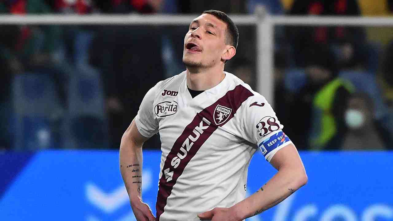 Belotti