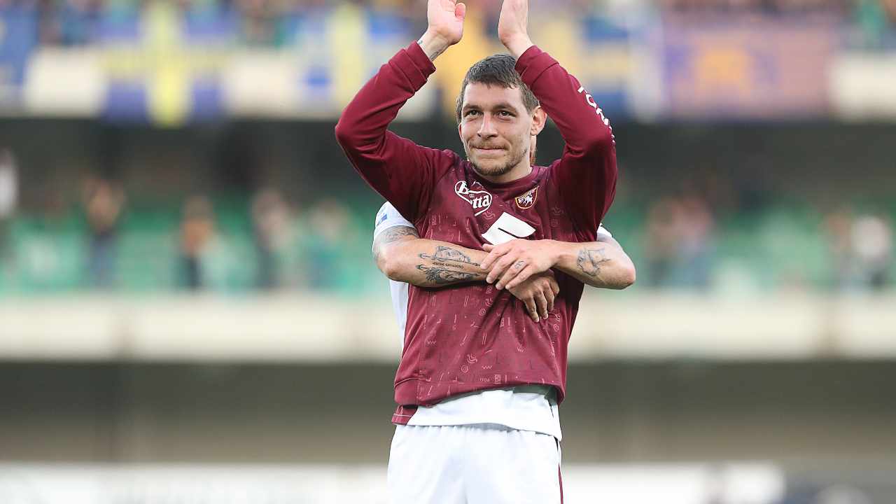 Belotti