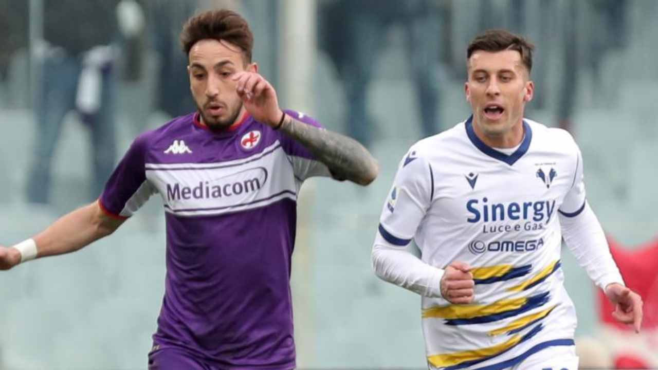 Fiorentina-Verona foto laPresse