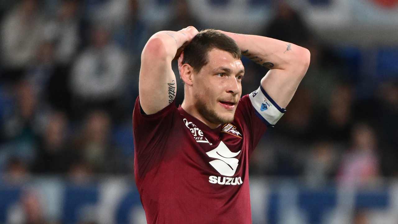 Belotti