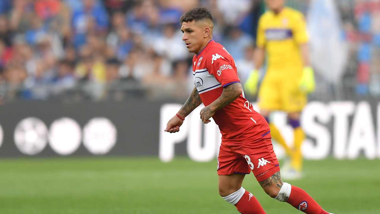 Torreira