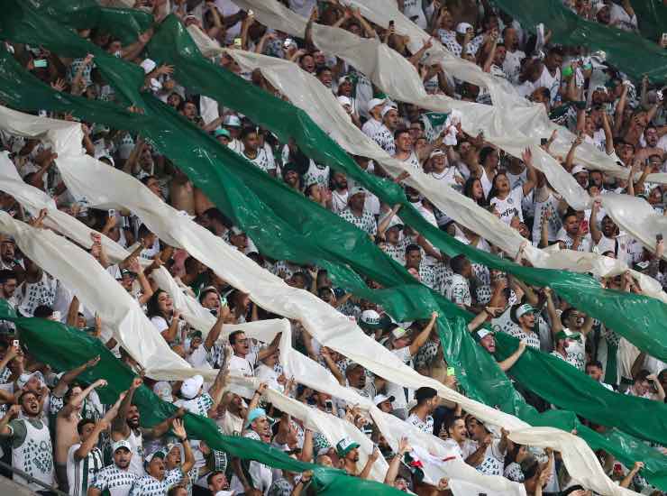 Estevao Palmeiras